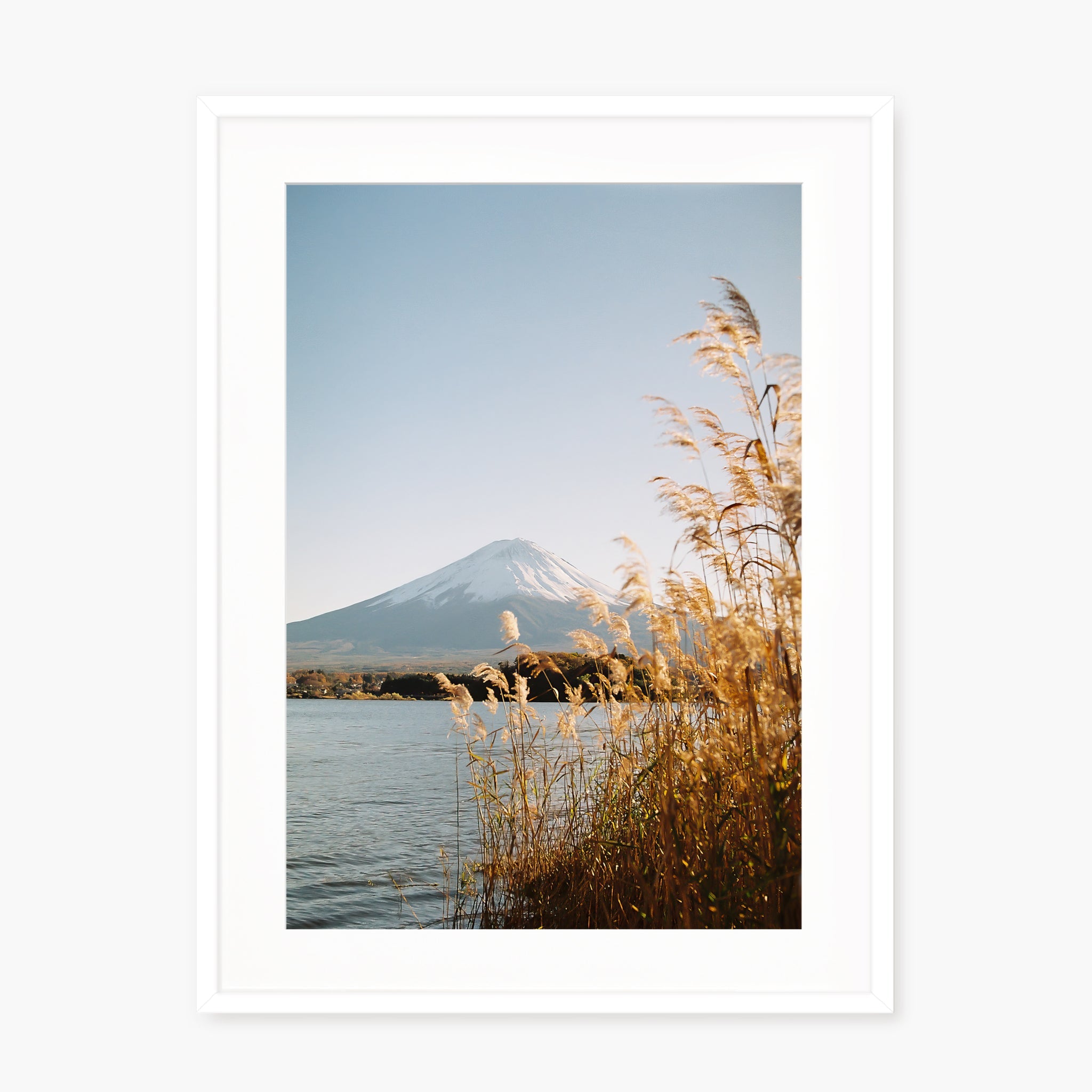 Fuji-San