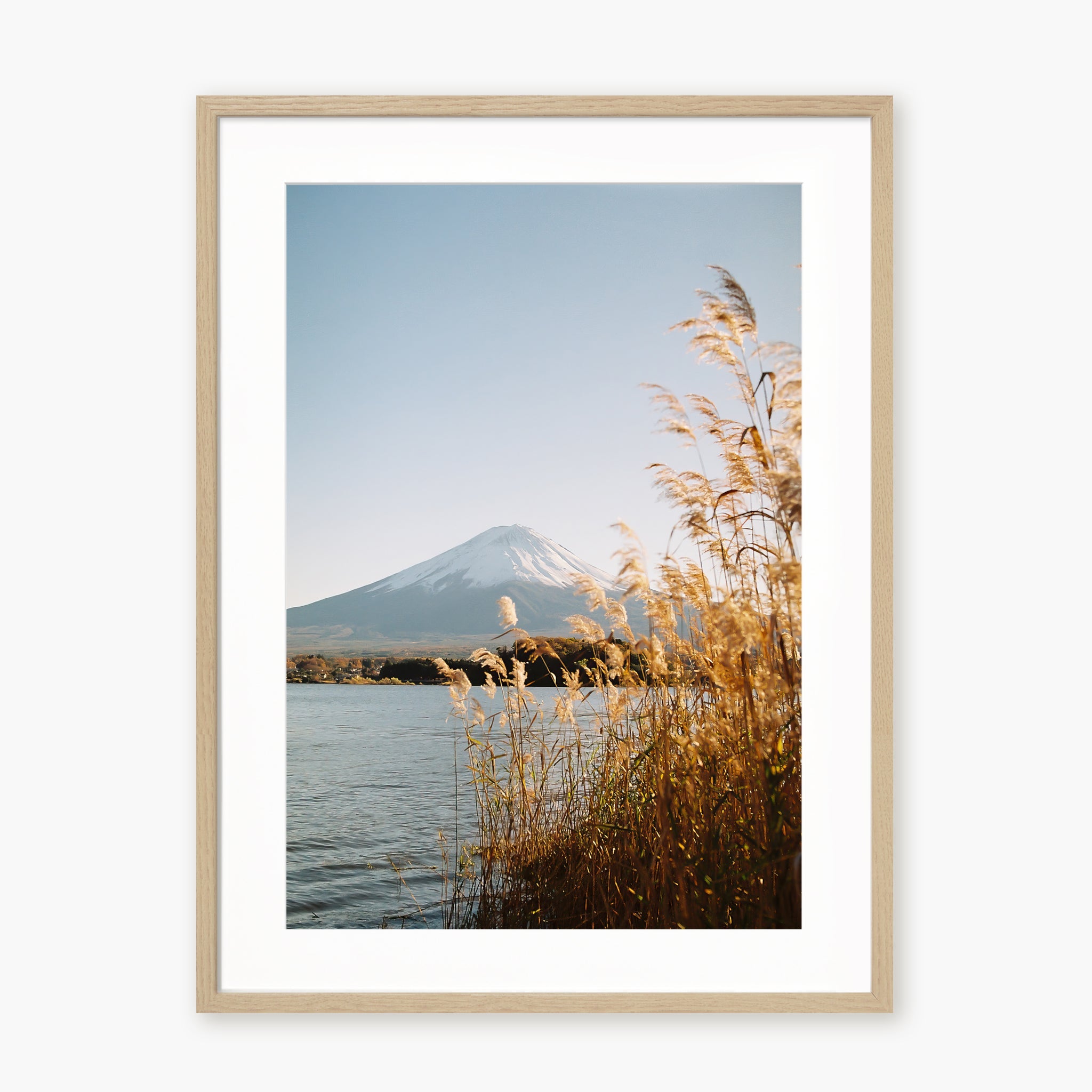 Fuji-San