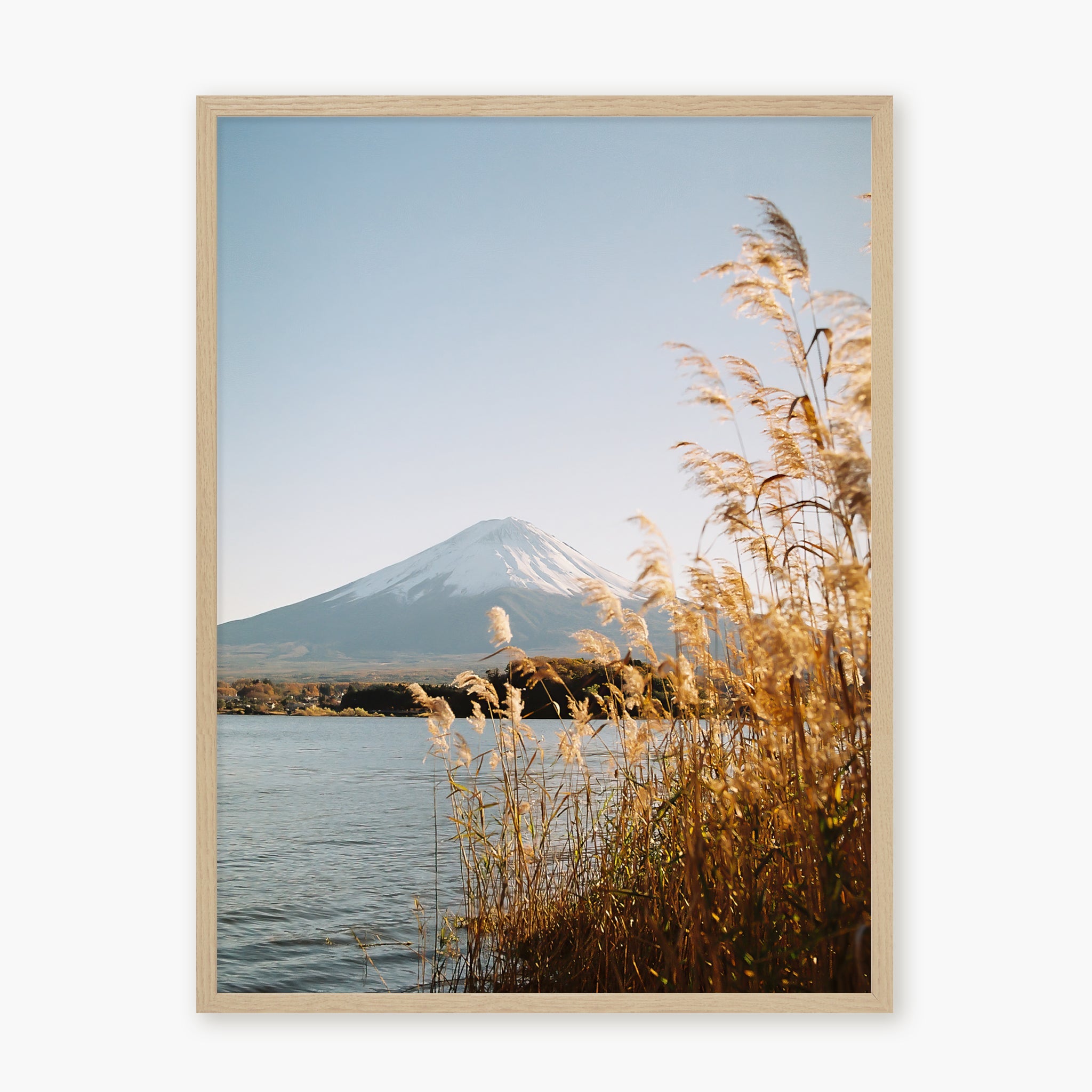 Fuji-San