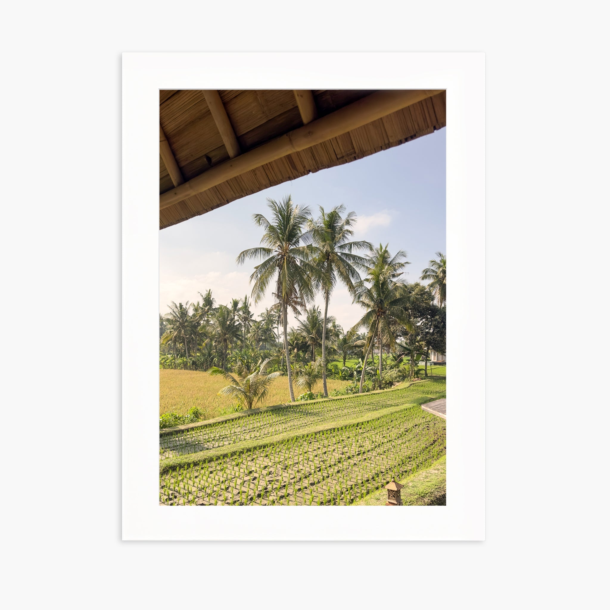 Window to Ubud