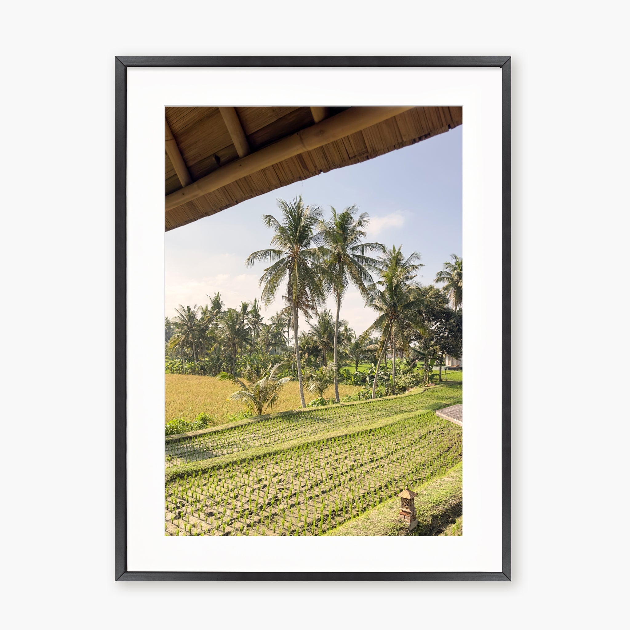 Window to Ubud