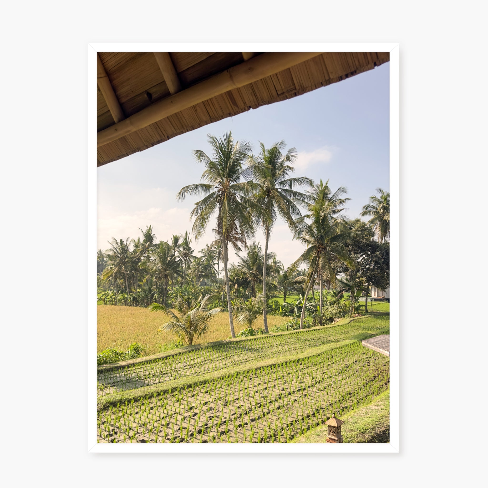 Window to Ubud