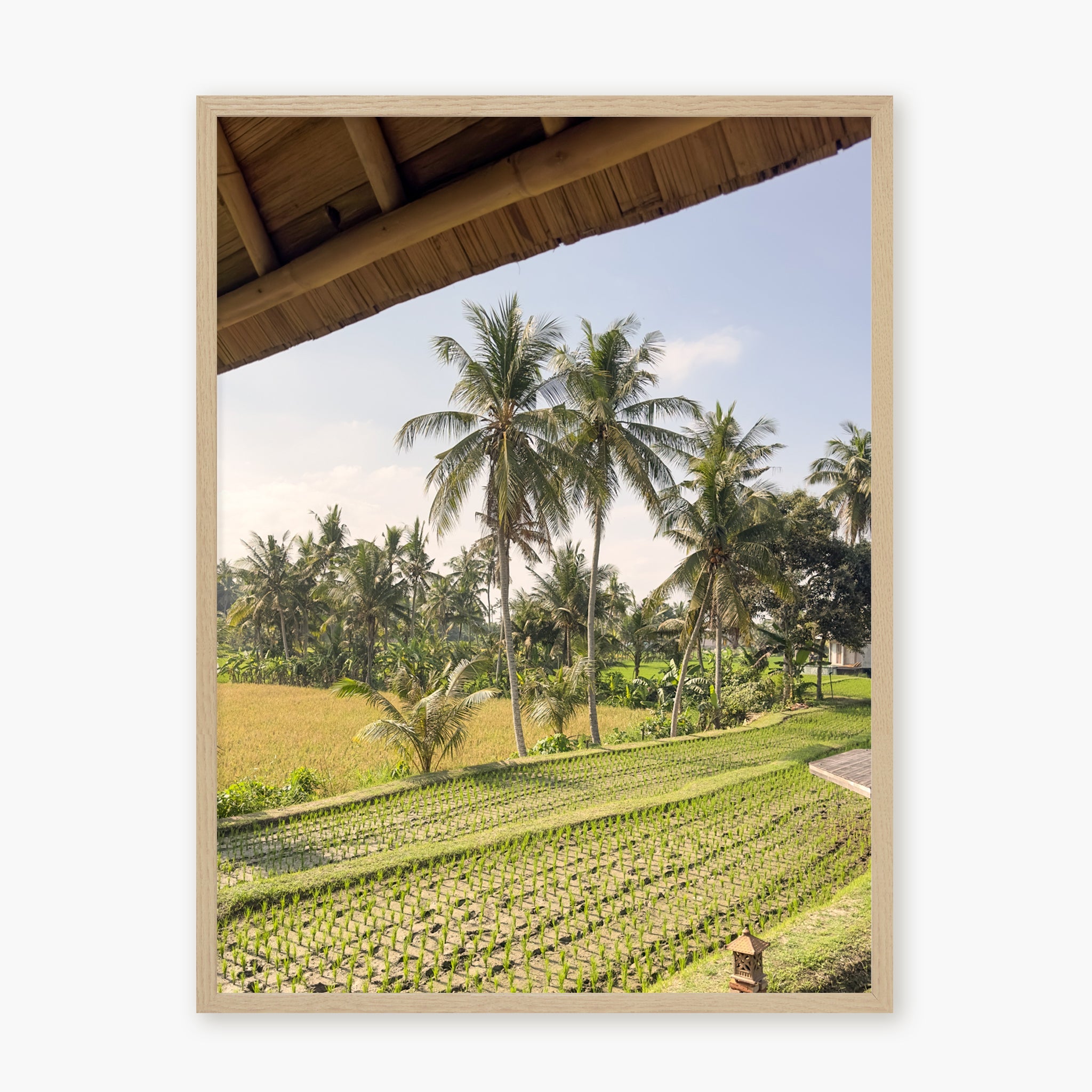 Window to Ubud
