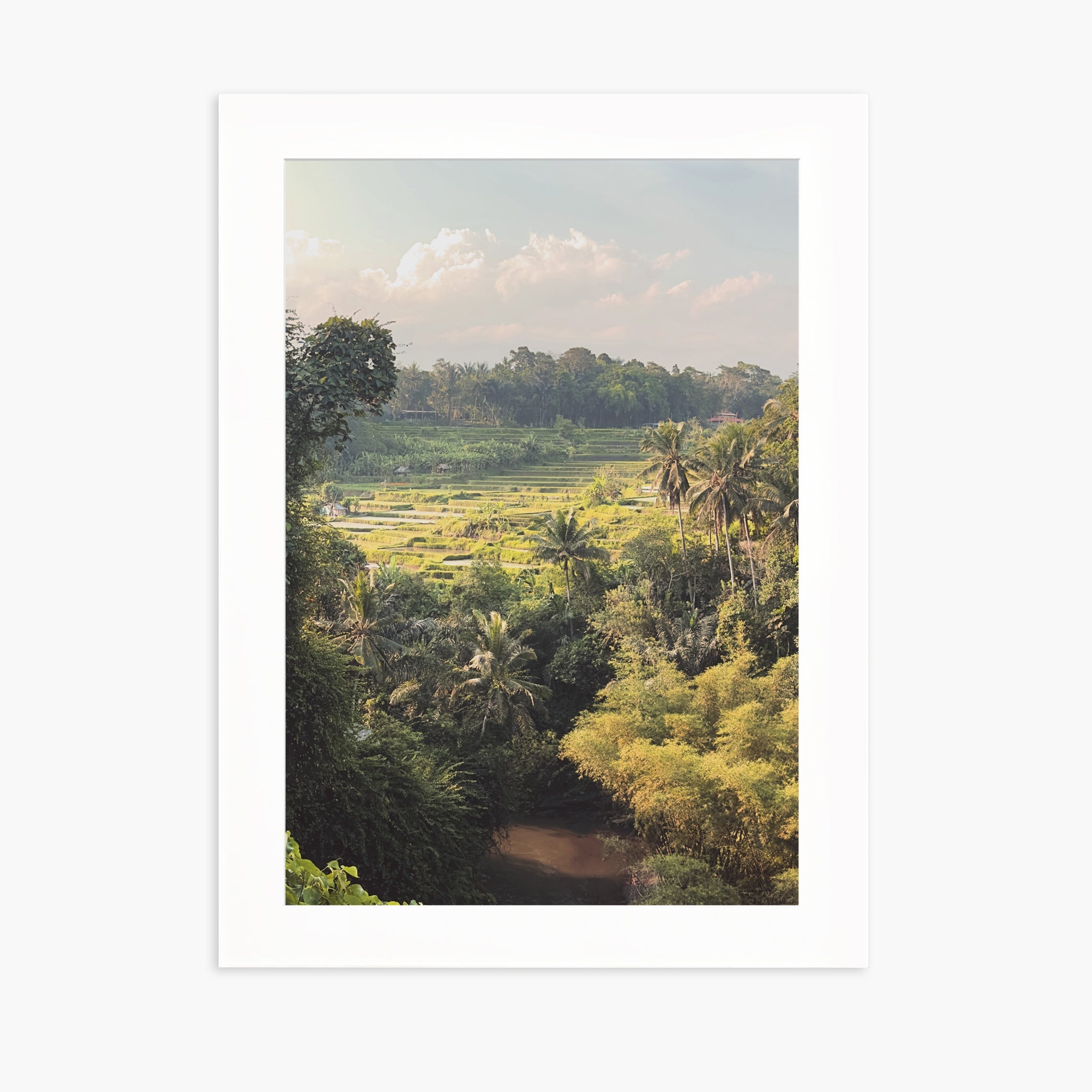 Ubud Rice Fields