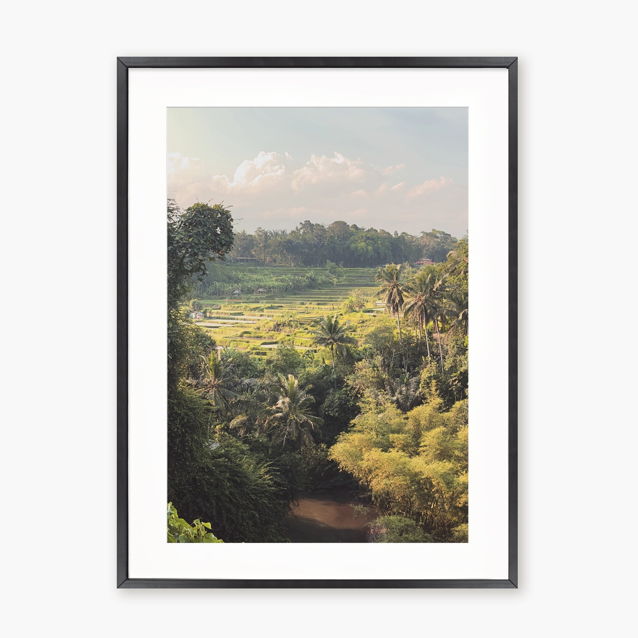 Ubud Rice Fields