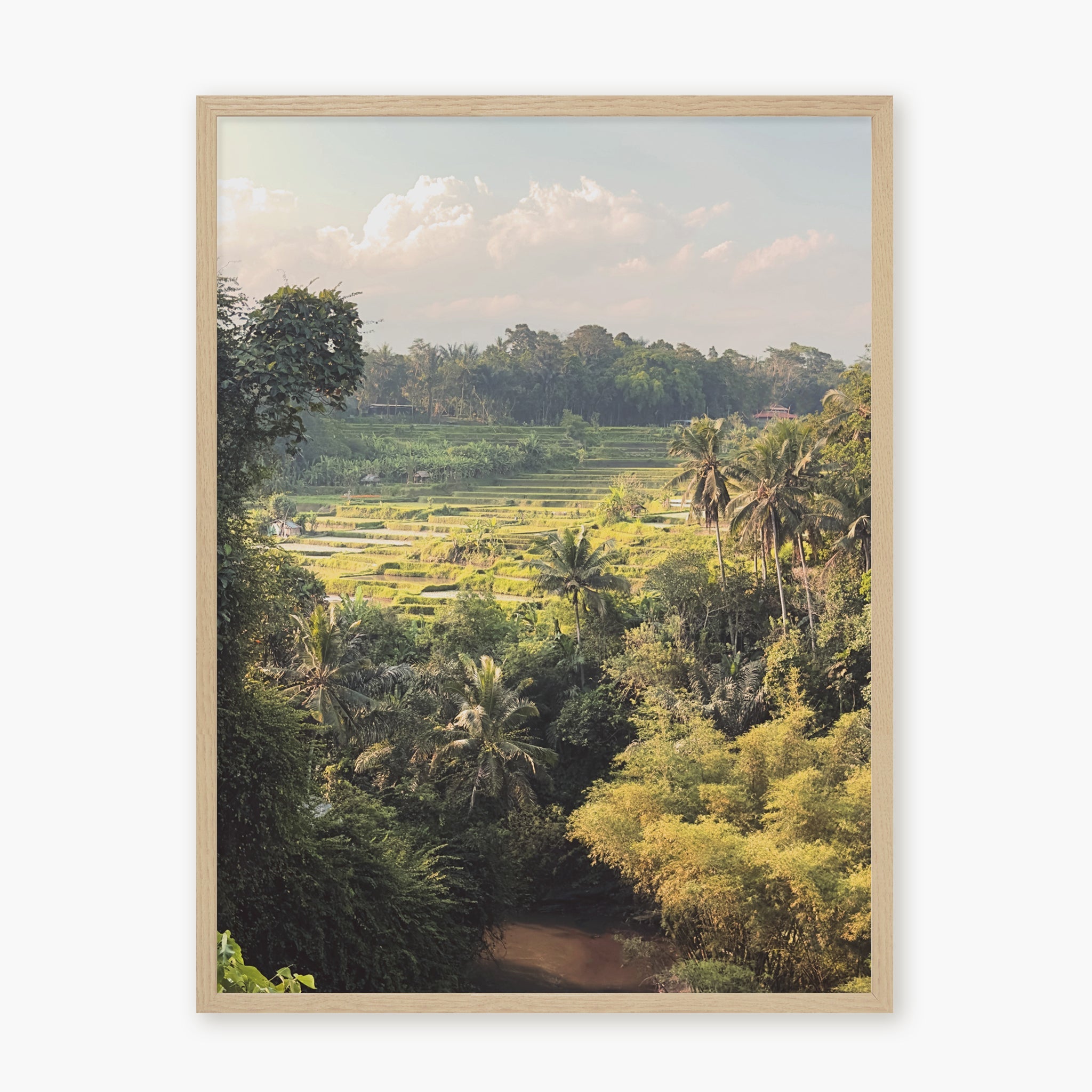 Ubud Rice Fields