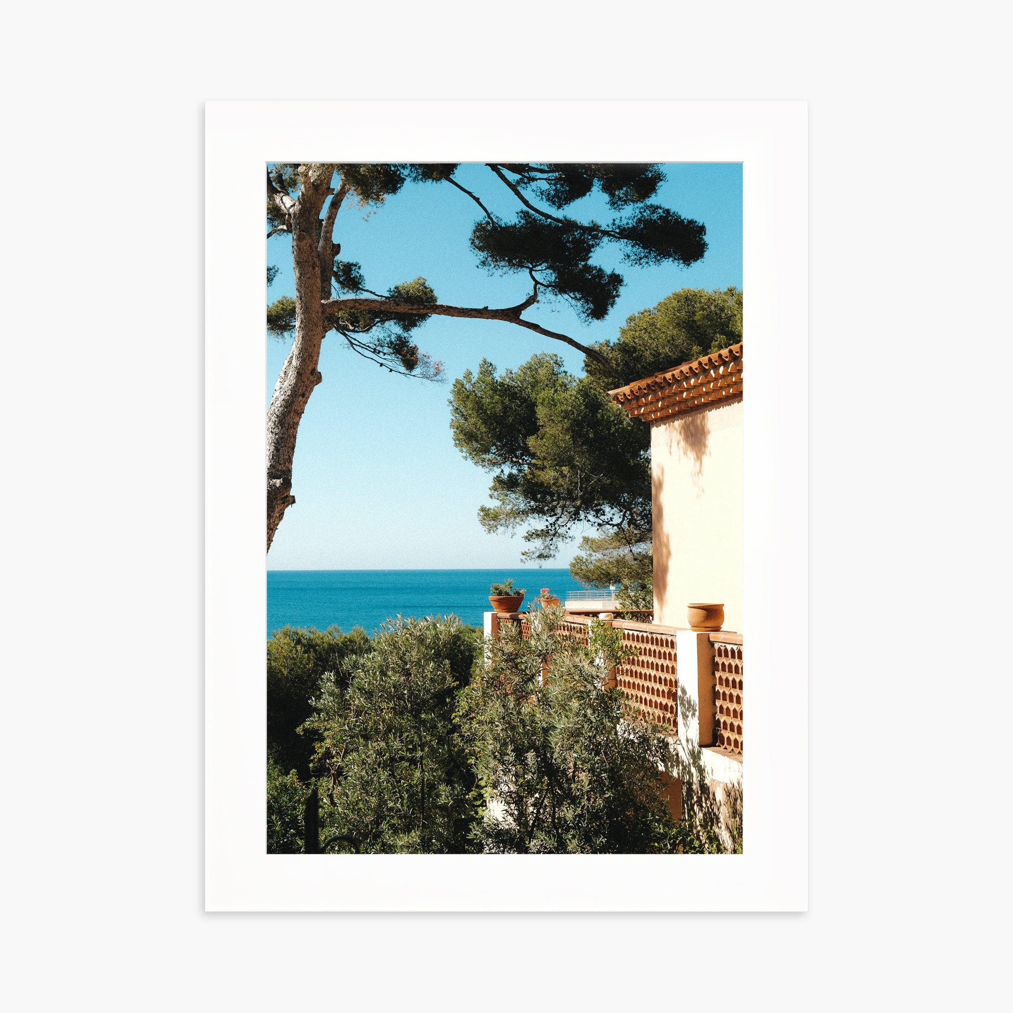 Maison Cassidaine