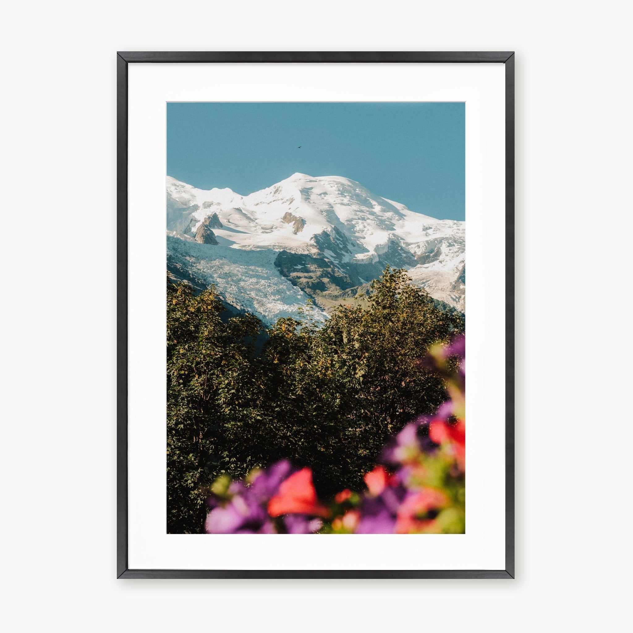 Mont Blanc fleuri
