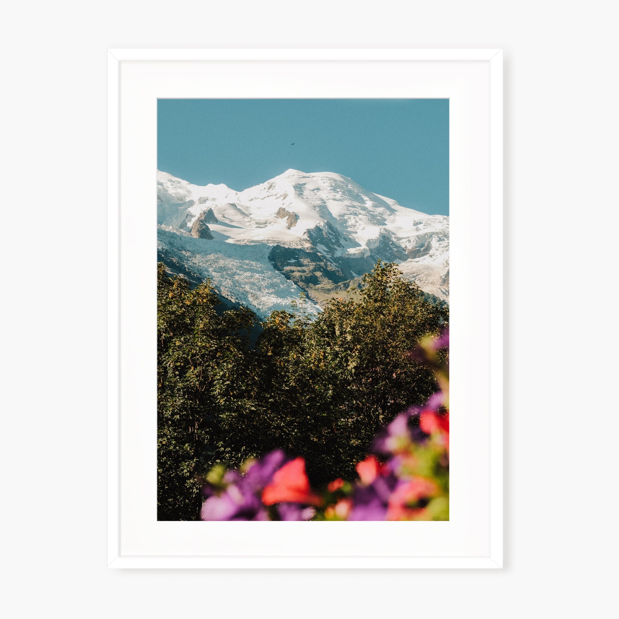 Mont Blanc fleuri