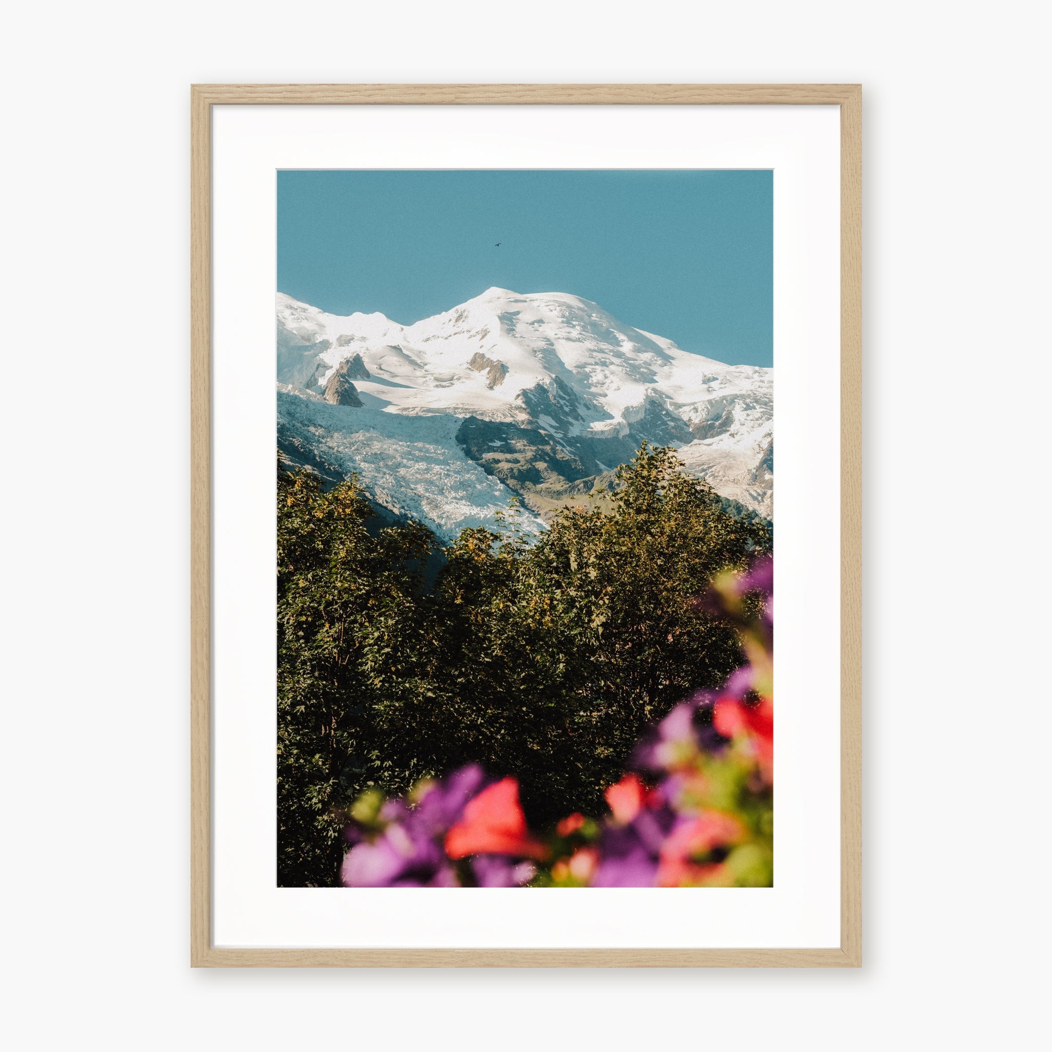 Mont Blanc fleuri