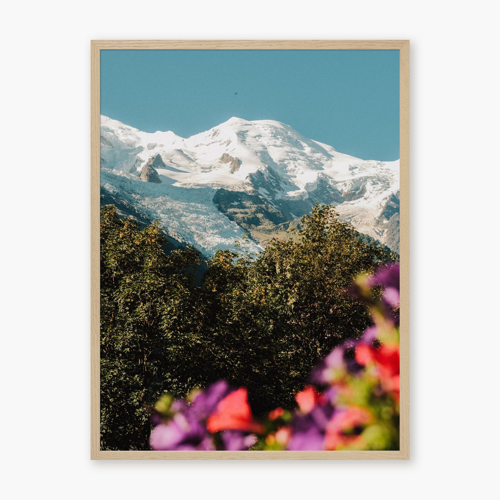 Mont Blanc fleuri