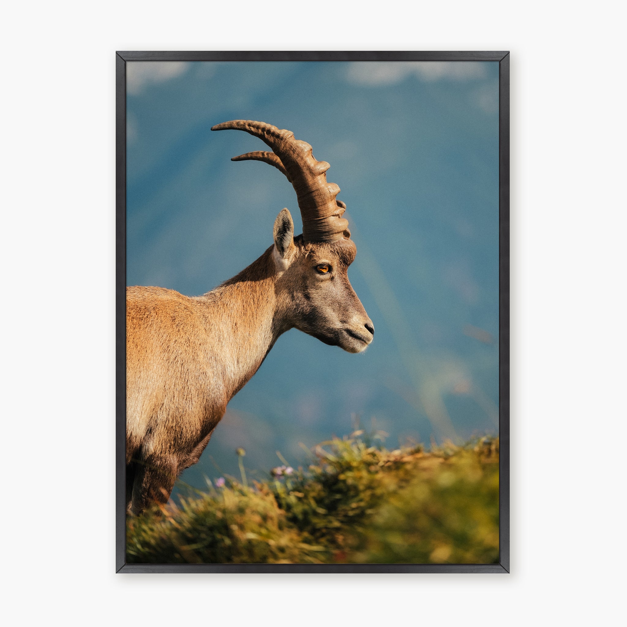 La Rencontre