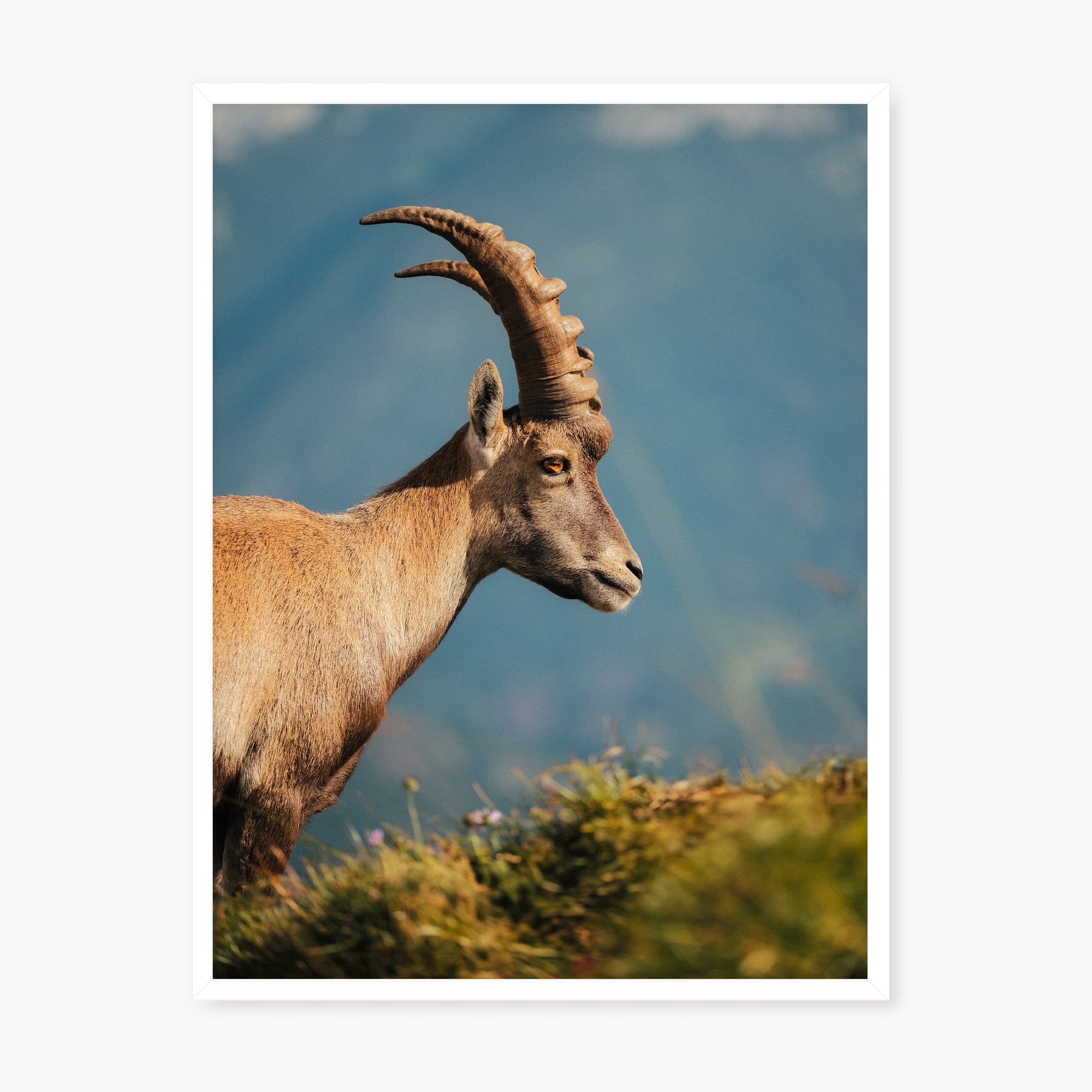 La Rencontre